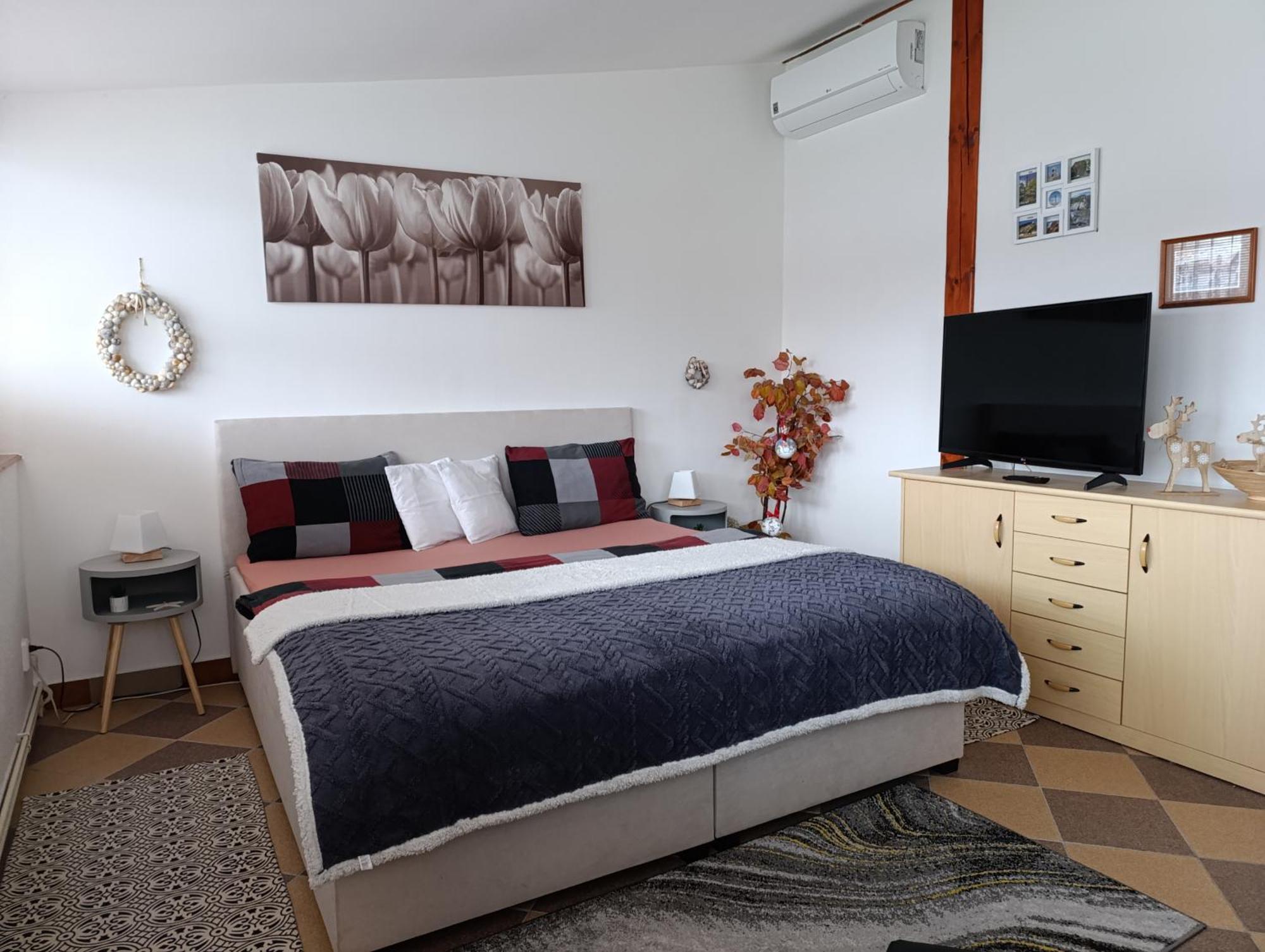 U Bocmana S Vyhledem Na Zamek A Labe Apartment Decin Exterior foto