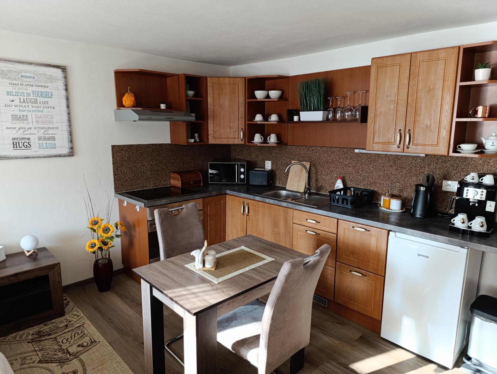 U Bocmana S Vyhledem Na Zamek A Labe Apartment Decin Exterior foto